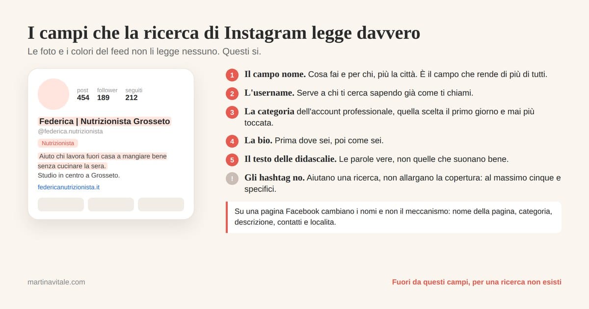 I campi letti dalla ricerca di Instagram: campo nome, username, categoria, bio e testo delle didascalie, con gli hashtag esclusi perchè aiutano la ricerca e non la copertura